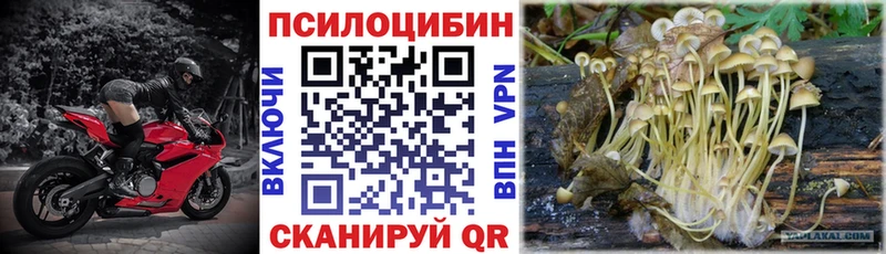 цены наркотик  кракен как зайти  Псилоцибиновые грибы MAGIC MUSHROOMS  Саранск 